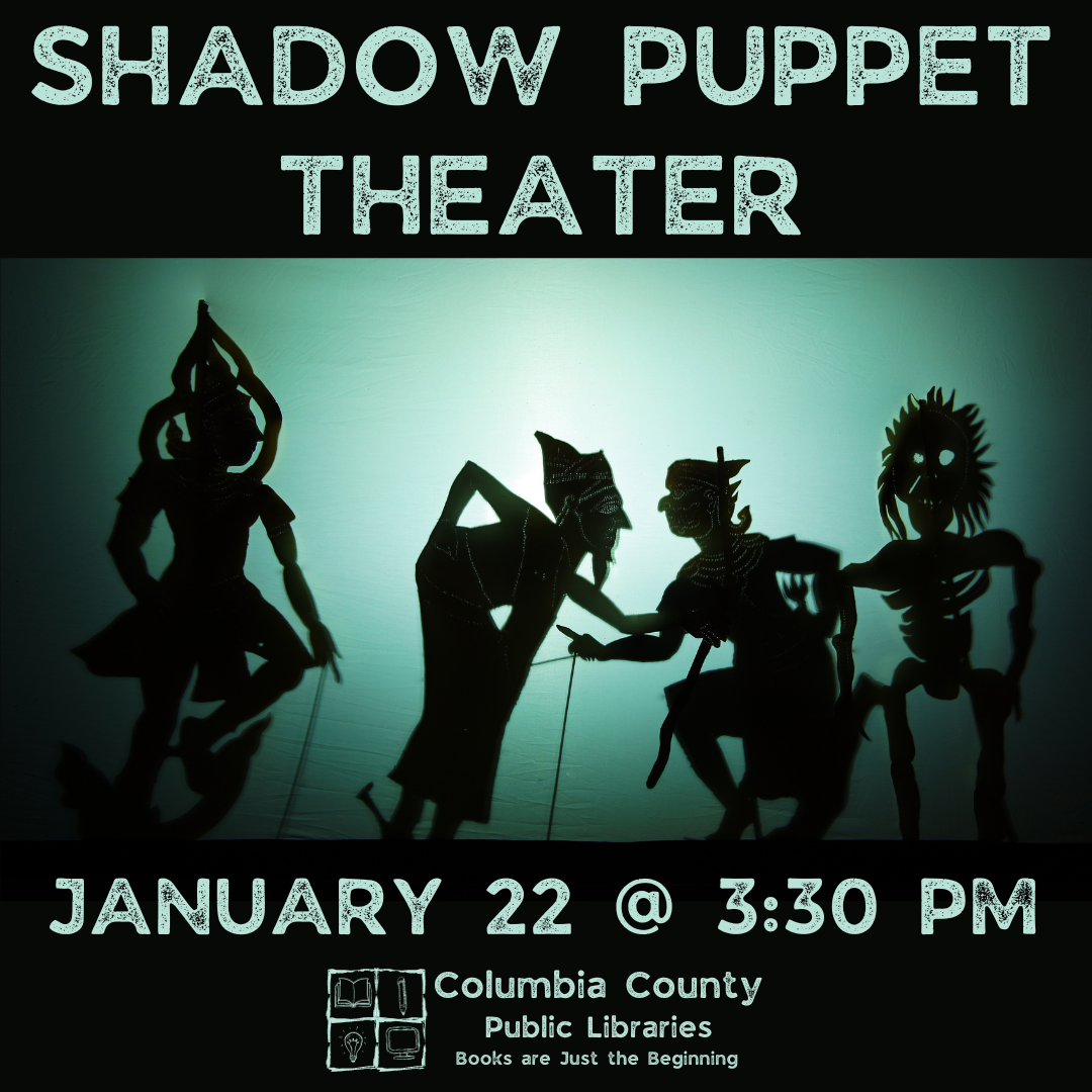 Read more about the article Shadow Puppet Theater