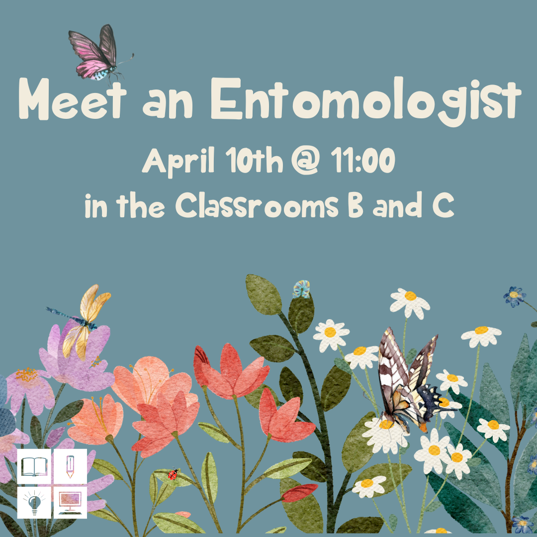 Read more about the article Meet an Entomologist!