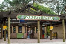 zoo-atlanta-entrance